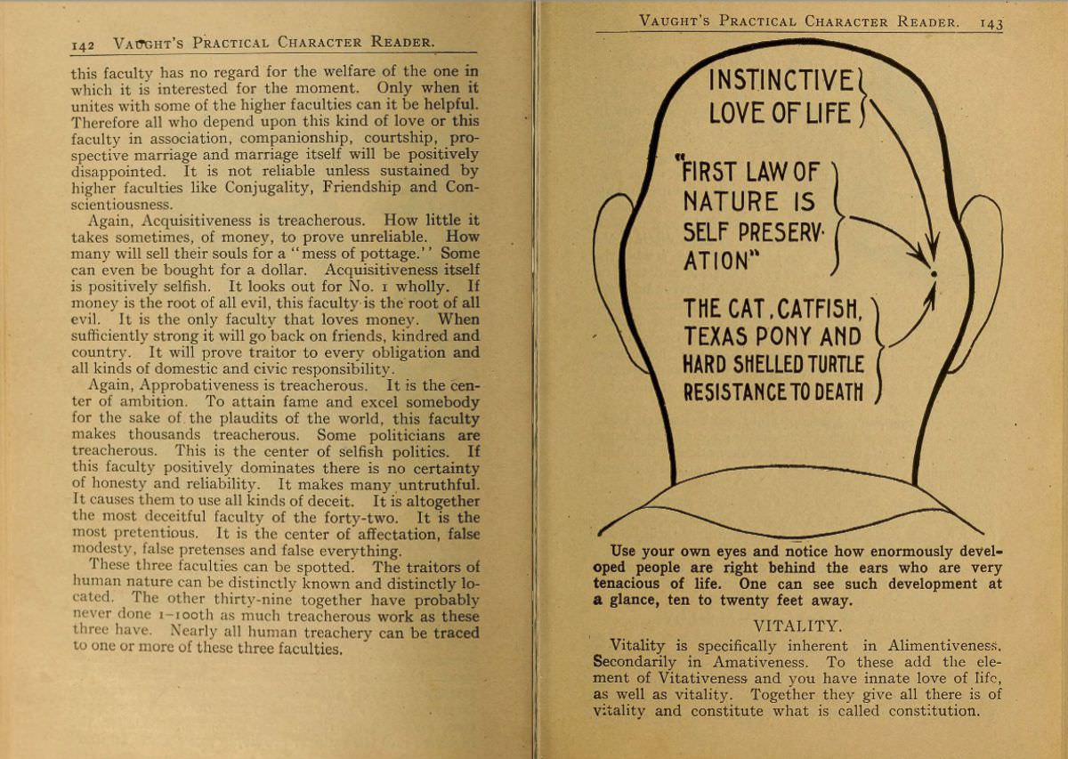 1902 Phrenology Book that determined a person&;s Personality based on the shape of his Head and other Facial Features