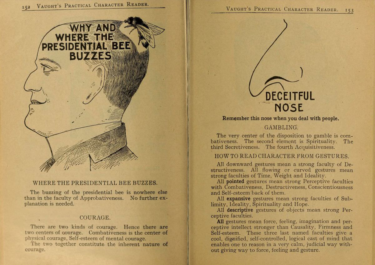 1902 Phrenology Book that determined a person&;s Personality based on the shape of his Head and other Facial Features