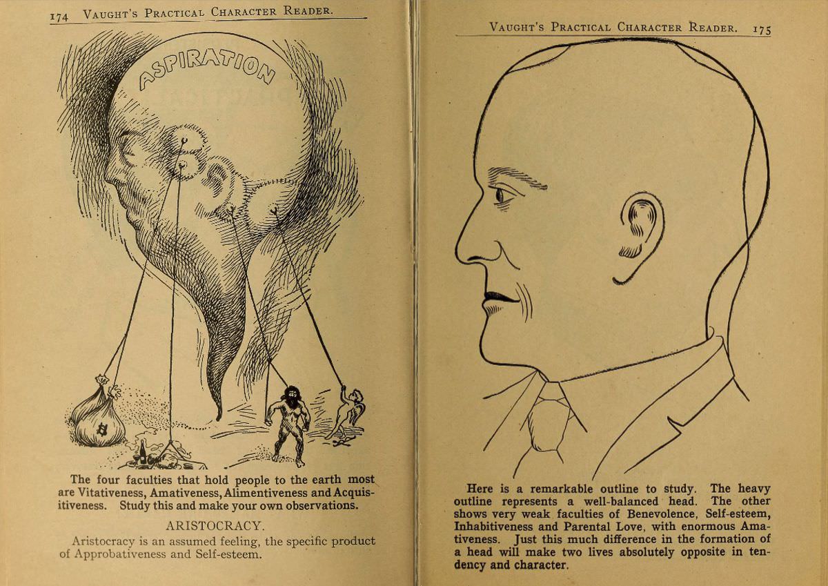 1902 Phrenology Book that determined a person&;s Personality based on the shape of his Head and other Facial Features
