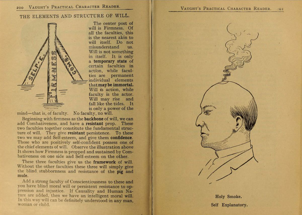 1902 Phrenology Book that determined a person&;s Personality based on the shape of his Head and other Facial Features