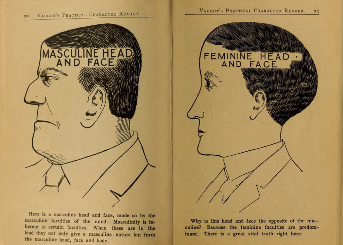 1902 Phrenology Book that determined a person&;s Personality based on the shape of his Head and other Facial Features