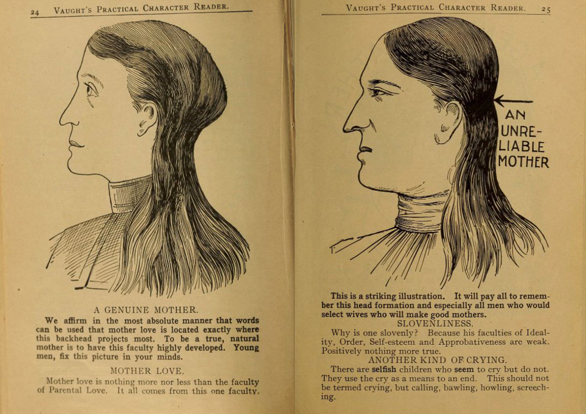 1902 Phrenology Book that determined a person&;s Personality based on the shape of his Head and other Facial Features