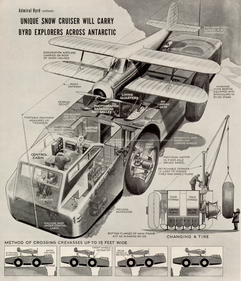 Cutaway diagram.