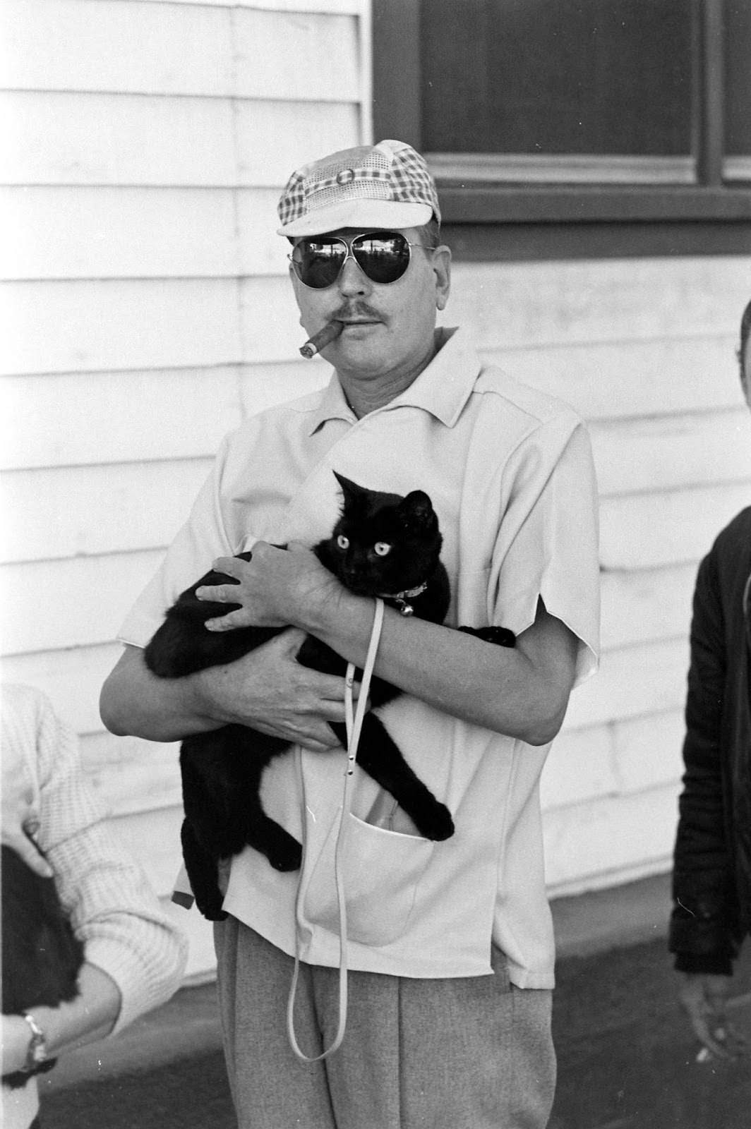 Audition for the Perfect Black Cat in Hollywood in 1961 Movies