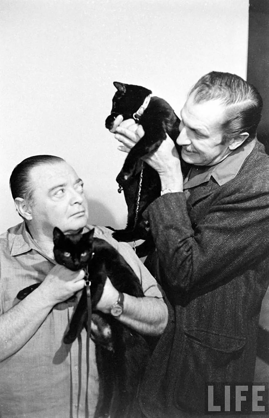 Audition for the Perfect Black Cat in Hollywood in 1961 Movies