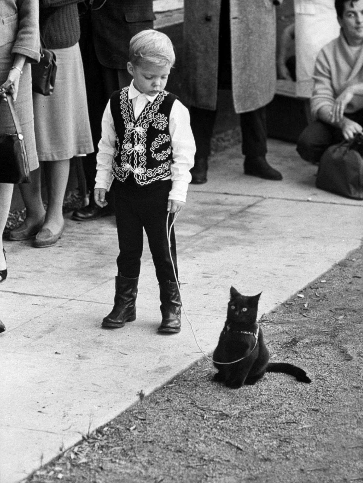 Audition for the Perfect Black Cat in Hollywood in 1961 Movies