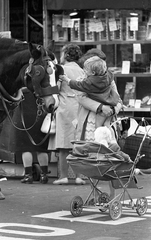 #122 A child making friends with a horse in O’Connell St, Dublin, 1973
