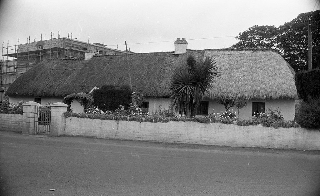 #125 Thatched cottage on Blackhorse Ave in Dublin, 1972