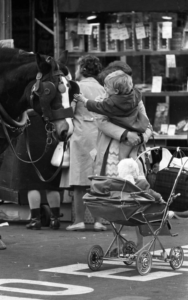 #17 A child making friends with a horse on O’Connell Street, 1973.
