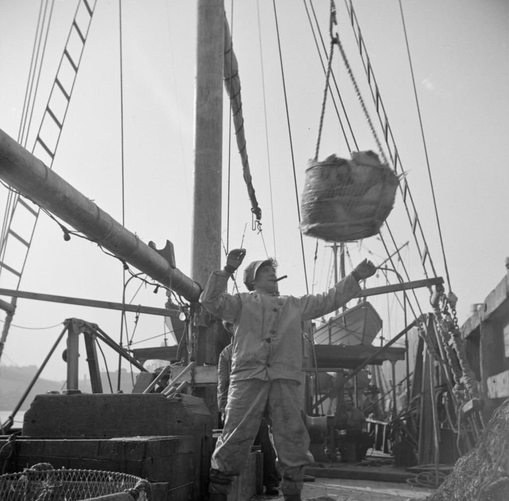 #15 Dock stevedores at the Fulton fish market sending up baskets of fish from the holds of the boats to the docks where it is bought, stored in barrels and packed in ice for delivery to wholesalers, 1930s