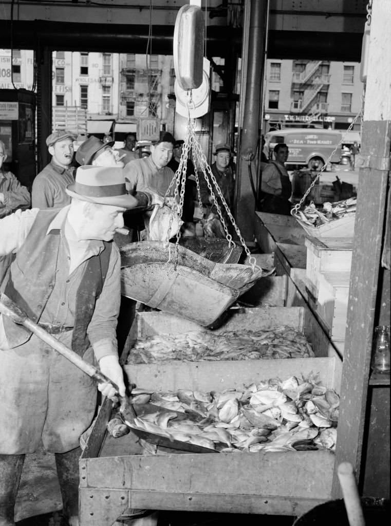 #128 A “seller” shovelling redfish onto the scales in the Fulton fish market. Artist Gordon Parks.
