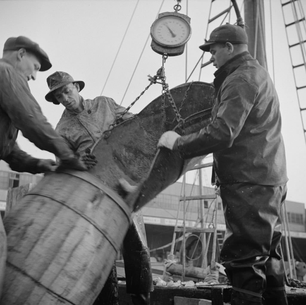 #152 New England fishermen unloading fish at the Fulton fish market.