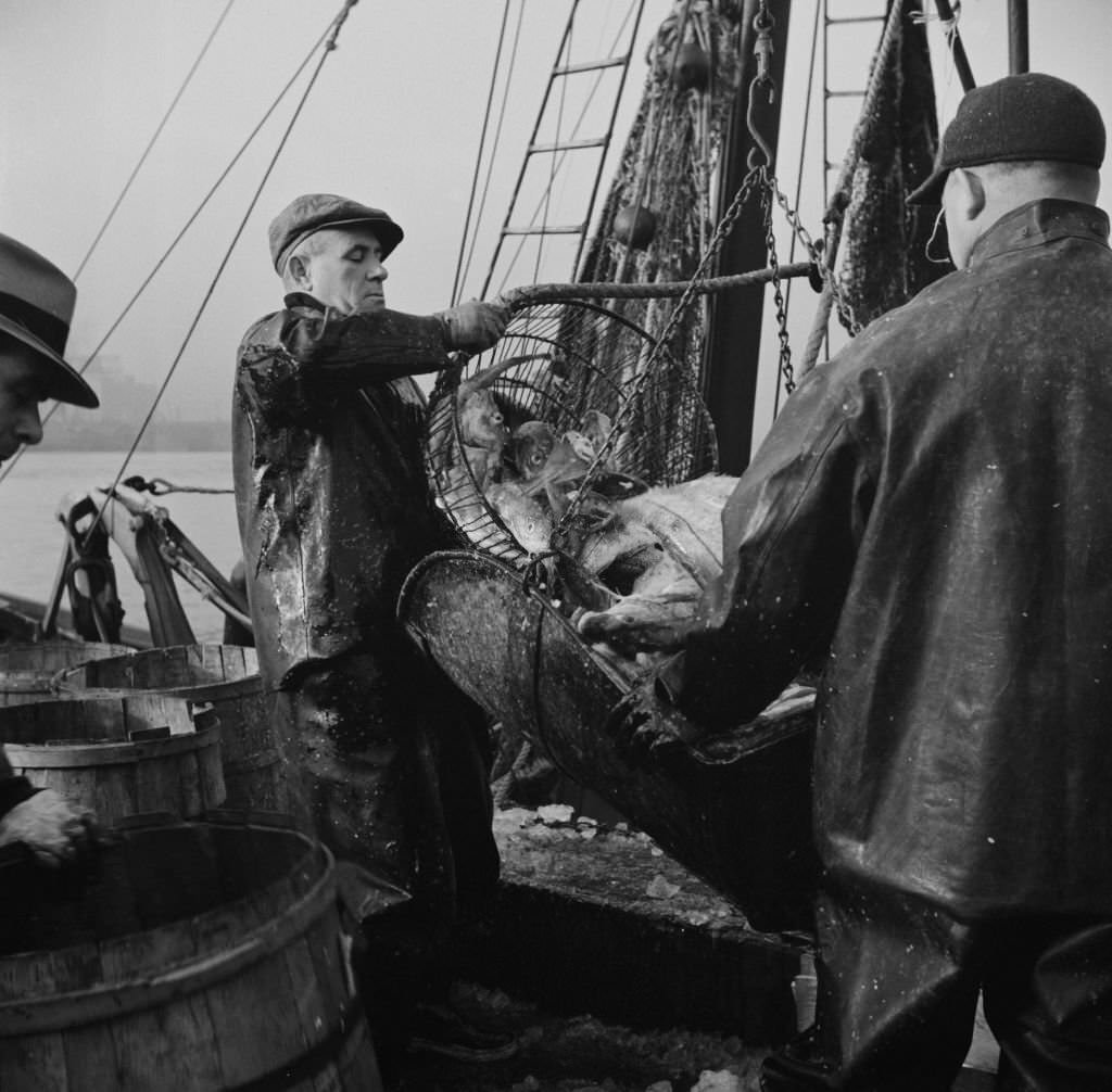 #156 New England fishermen unloading fish at Fulton fish market.