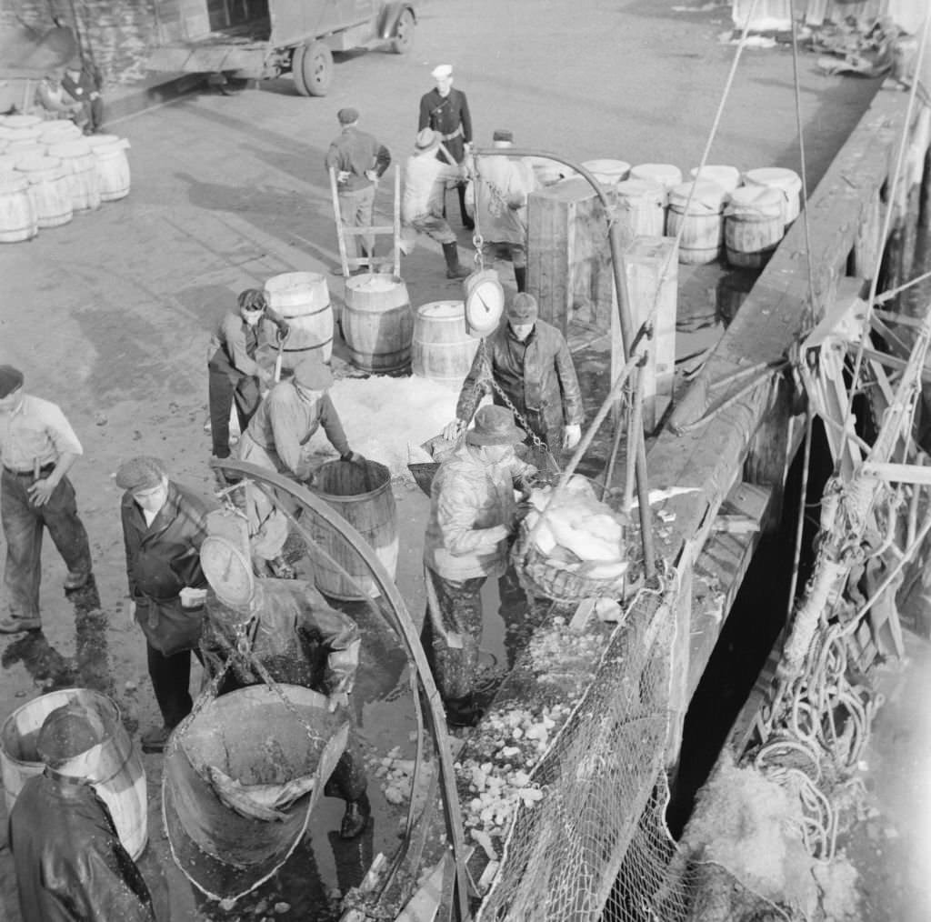 #20 Dock stevedores at the Fulton fish market sending up baskets of fish from the holds of the boats to the docks, 1930s