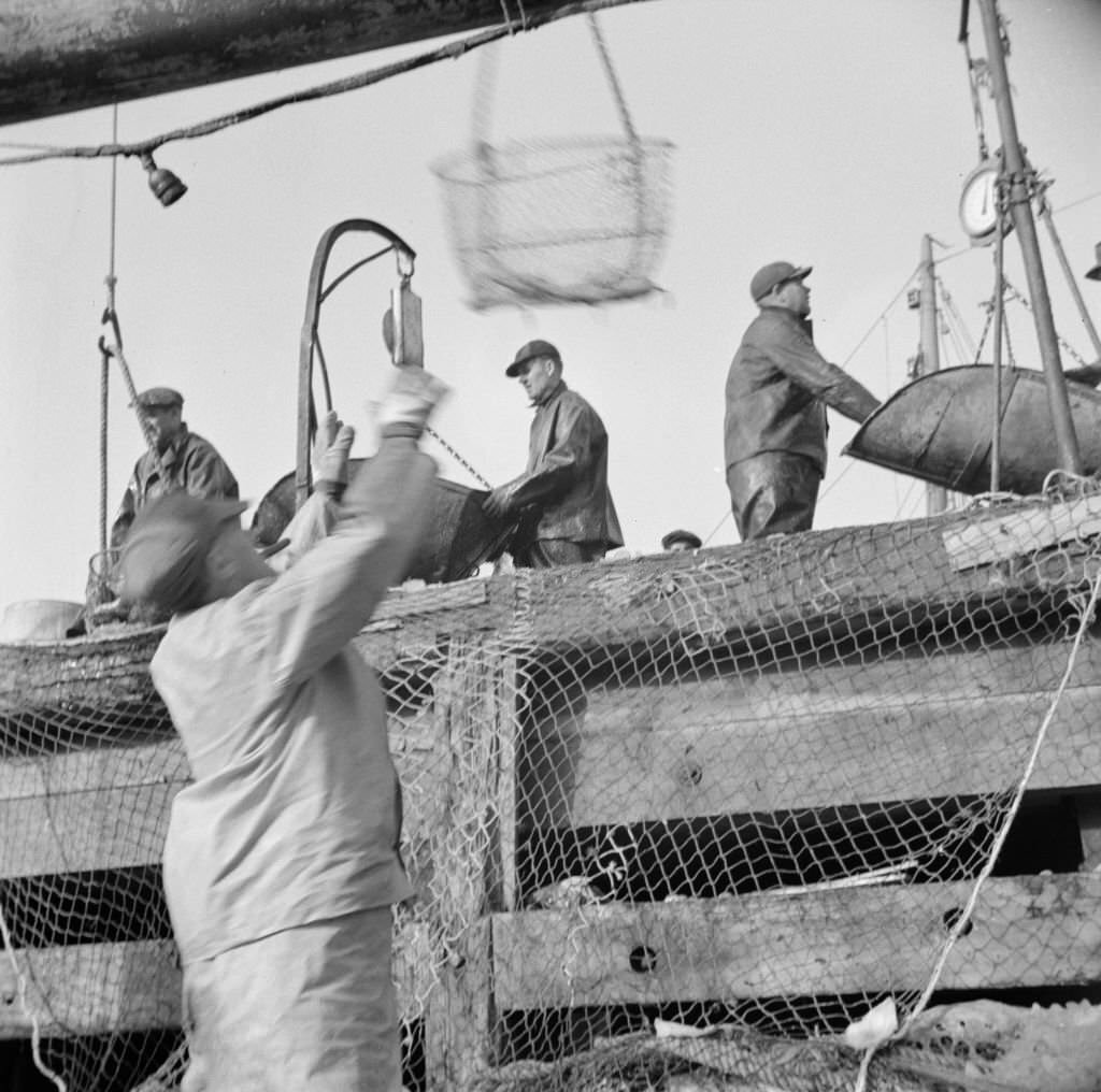 #21 Dock stevedores at the Fulton fish market sending up baskets of fish from the holds of the boats to the docks where it is bought, 1930s