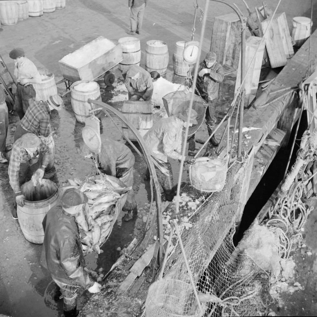 #25 Stevedores at the Fulton fish market unloading fish from boats caught off, 1920s