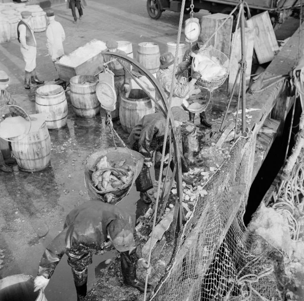 #26 Stevedores at the Fulton fish market unloading fish from boats caught off, 1920s