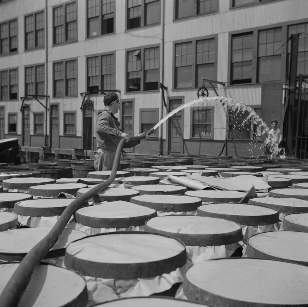 #44 Watering fish at the Fulton fish market with brine water, 1934