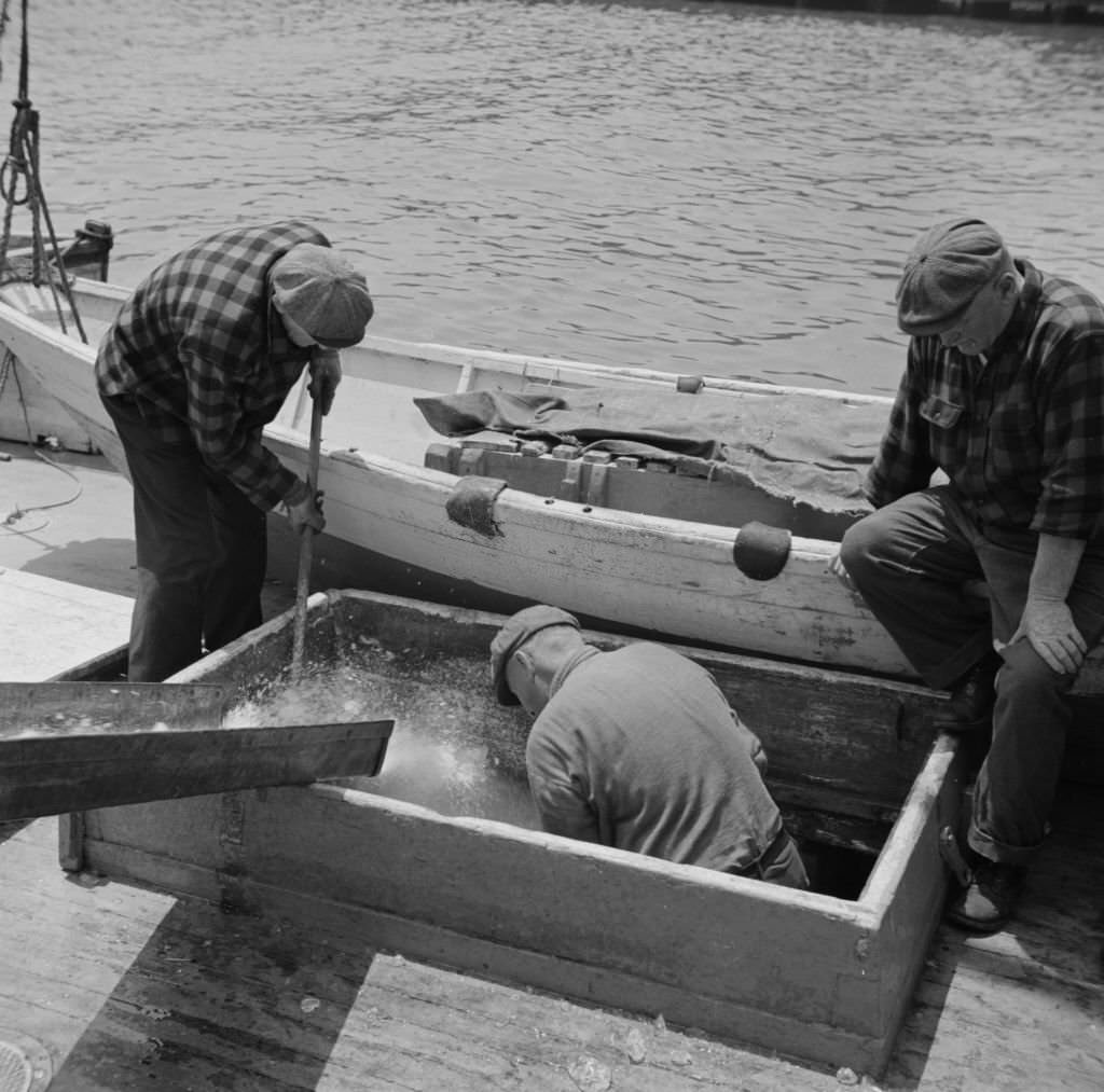 #47 Icing the hold of a ship at the Fulton fish market, 1930s