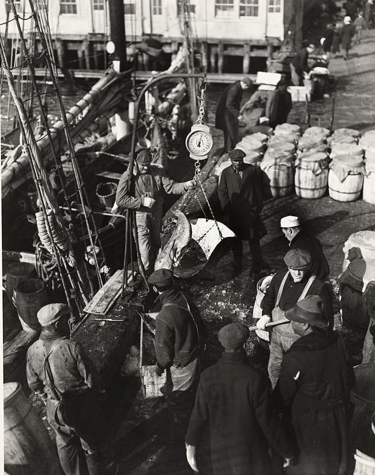 #52 Fish being weighed at the Fulton Fish Market, before being shipped to the retail markets, 1920s