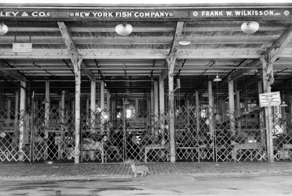#59 A view of the Fulton Fish Market, 1965 in South Street Seaport, Lower Manhattan, New York City.