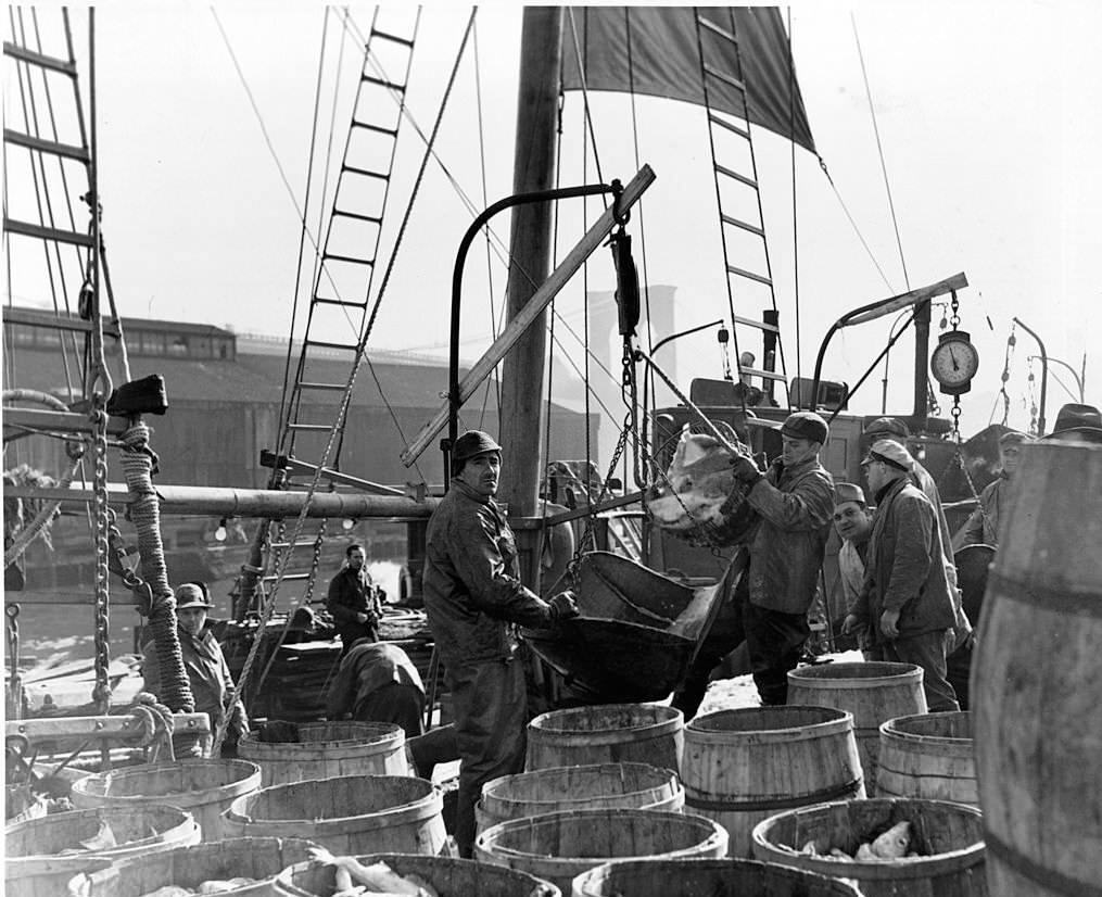 #74 Workers at Fulton Fish Market in New York City, 1955.