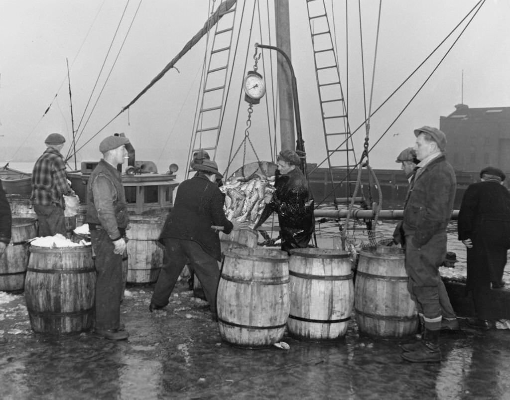 #76 Unloading haddock from the John G Murley ship at Fulton Fish Market, New York, US, 30th July 1953.
