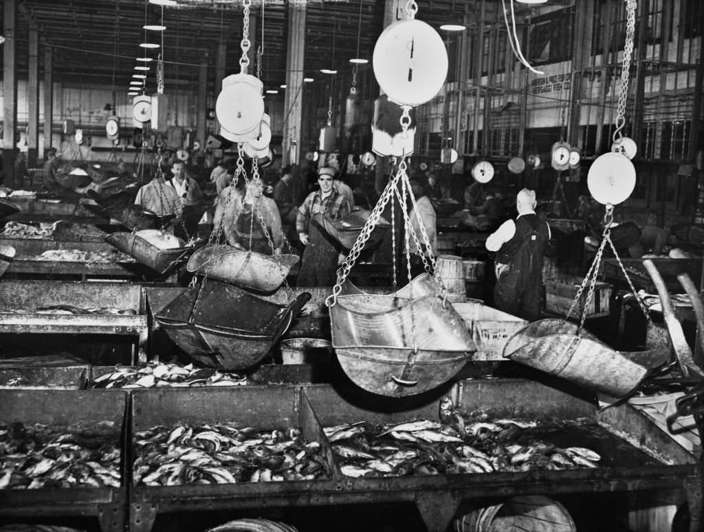 #78 Scenes in Fulton Fish Market, New York City, 1953.