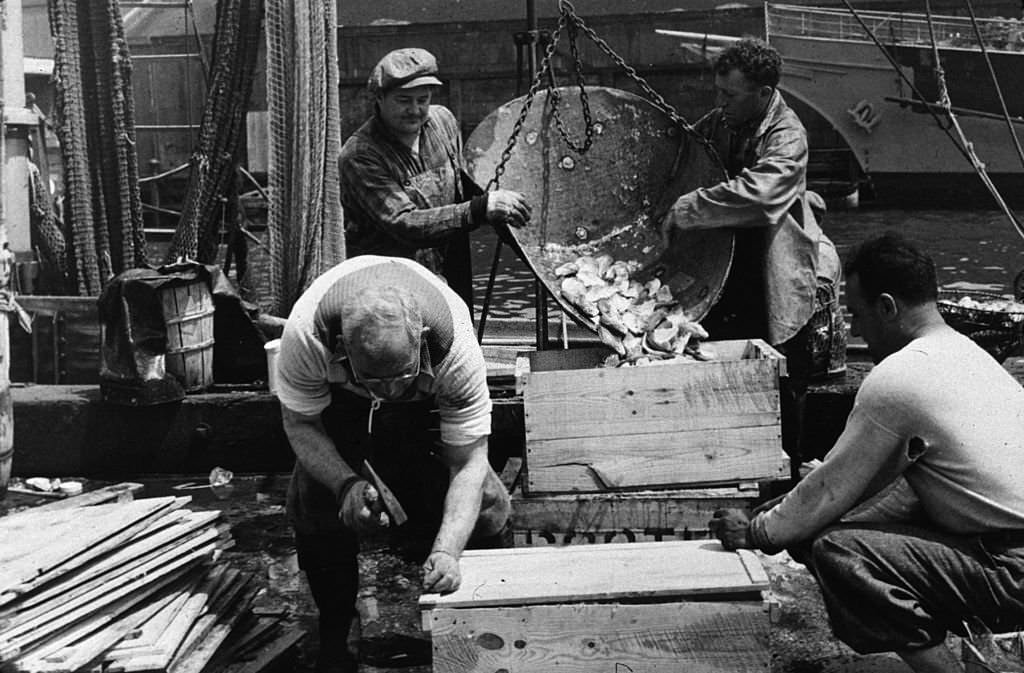#86 Dockers packing and icing fish at the Fulton Fish Market in New York City, 1943