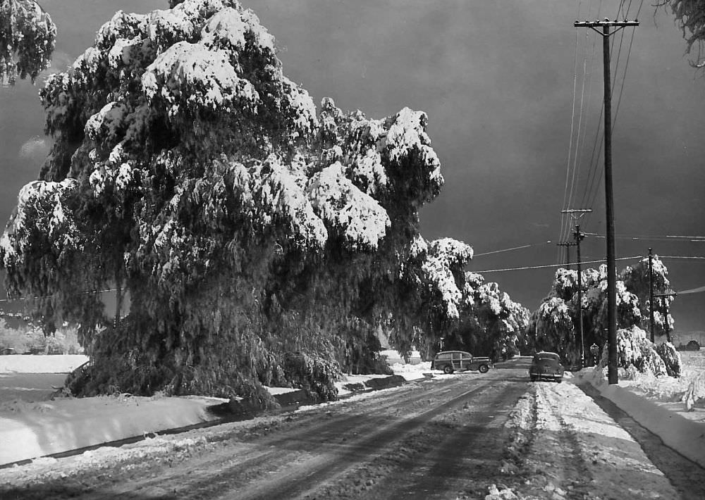 #11 The 1949 snow storm transformed the San Fernando Valley community of Canoga Park into a winter wonderland.