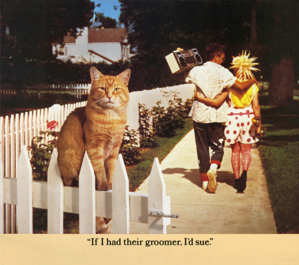 The 1986 Morris Calendar featuring the World&;s Most Finicky Cat Vintage Ads
