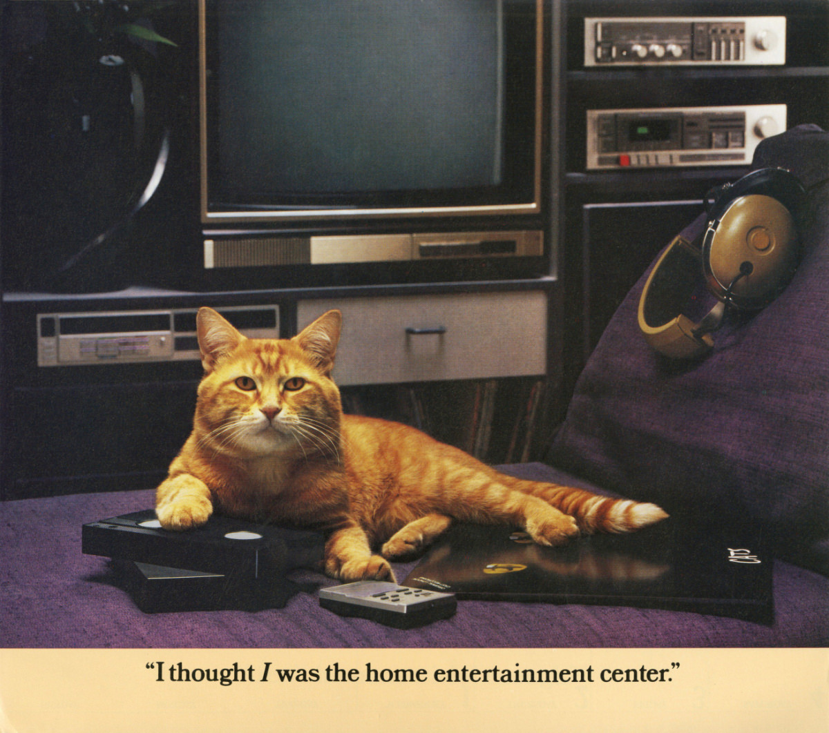 The 1986 Morris Calendar featuring the World&;s Most Finicky Cat Vintage Ads