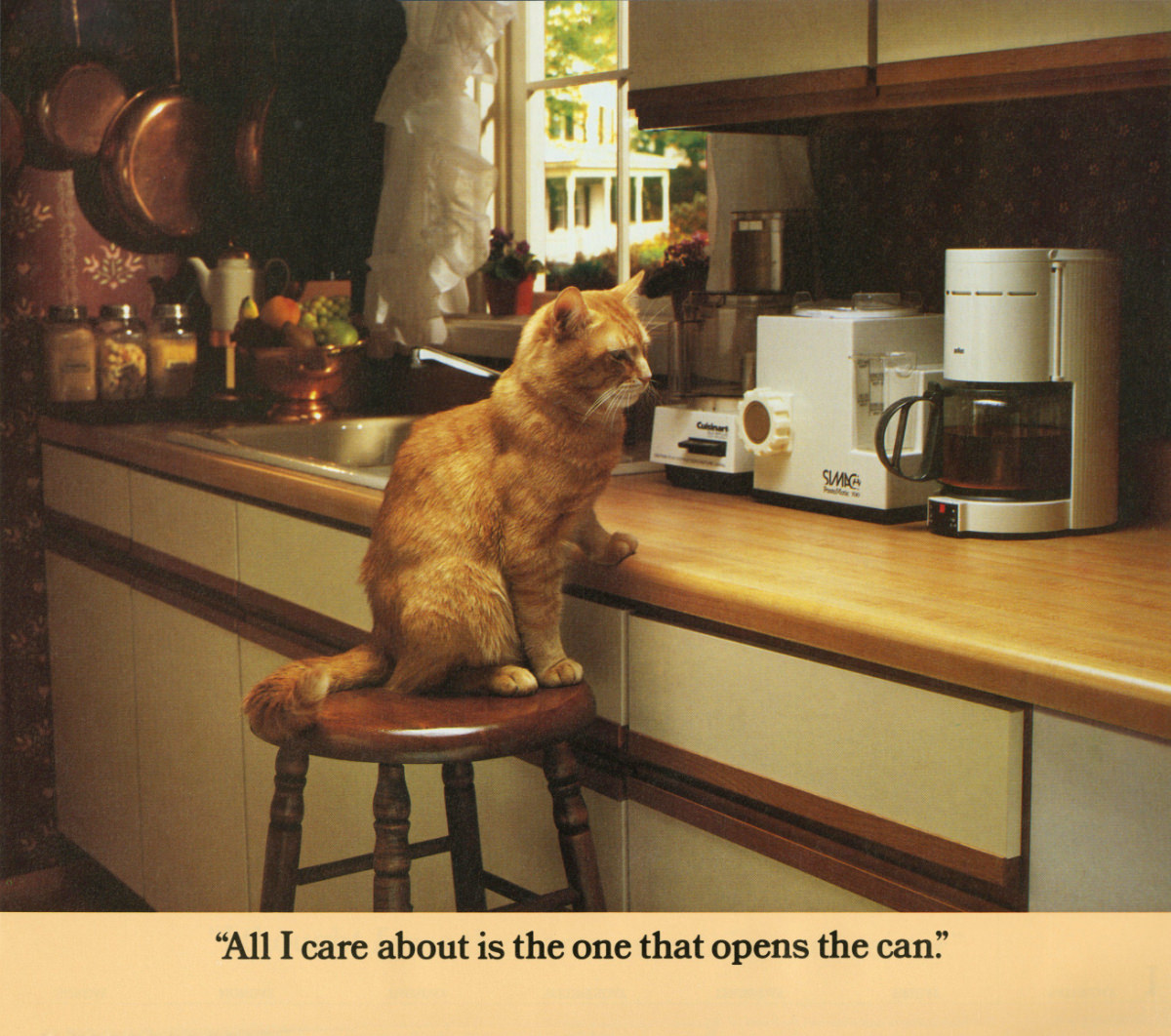 The 1986 Morris Calendar featuring the World&;s Most Finicky Cat Vintage Ads