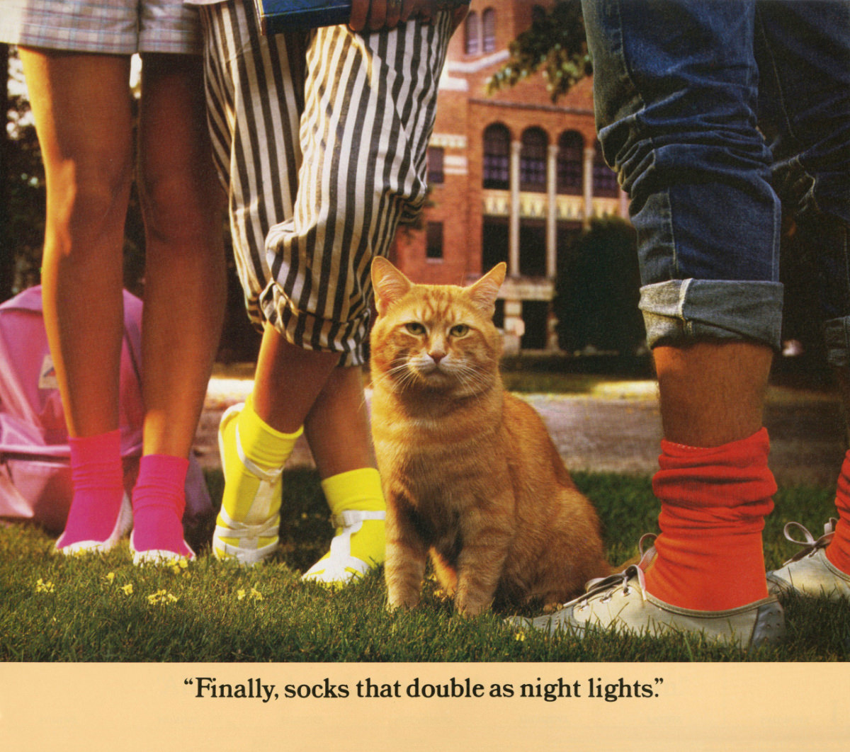 The 1986 Morris Calendar featuring the World&;s Most Finicky Cat Vintage Ads