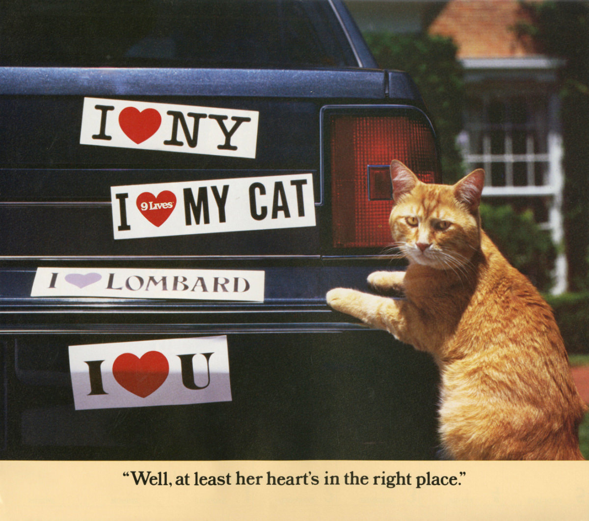 The 1986 Morris Calendar featuring the World&;s Most Finicky Cat Vintage Ads