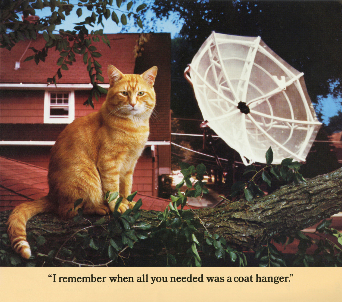 The 1986 Morris Calendar featuring the World&;s Most Finicky Cat Vintage Ads