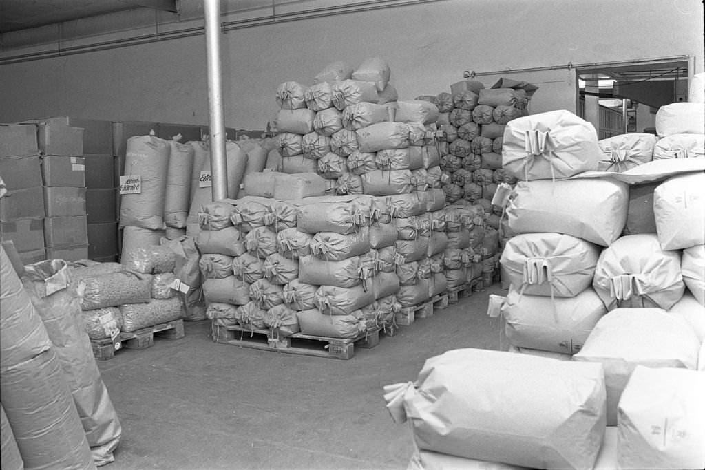 #26 Pasta factory “Bonita”, 1969