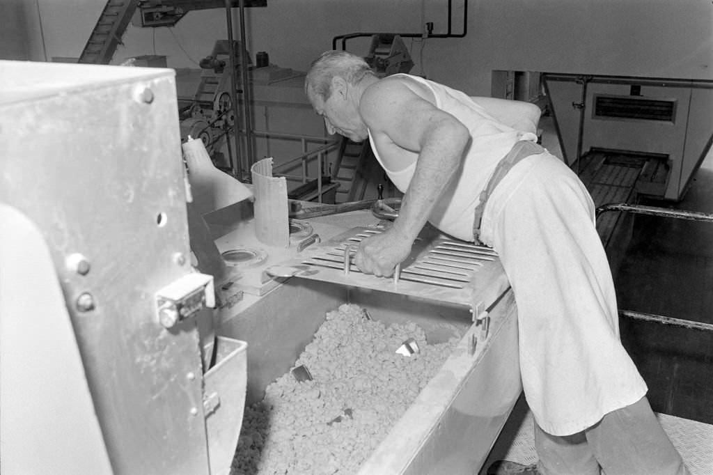 #28 Pasta factory “Bonita”, 1969