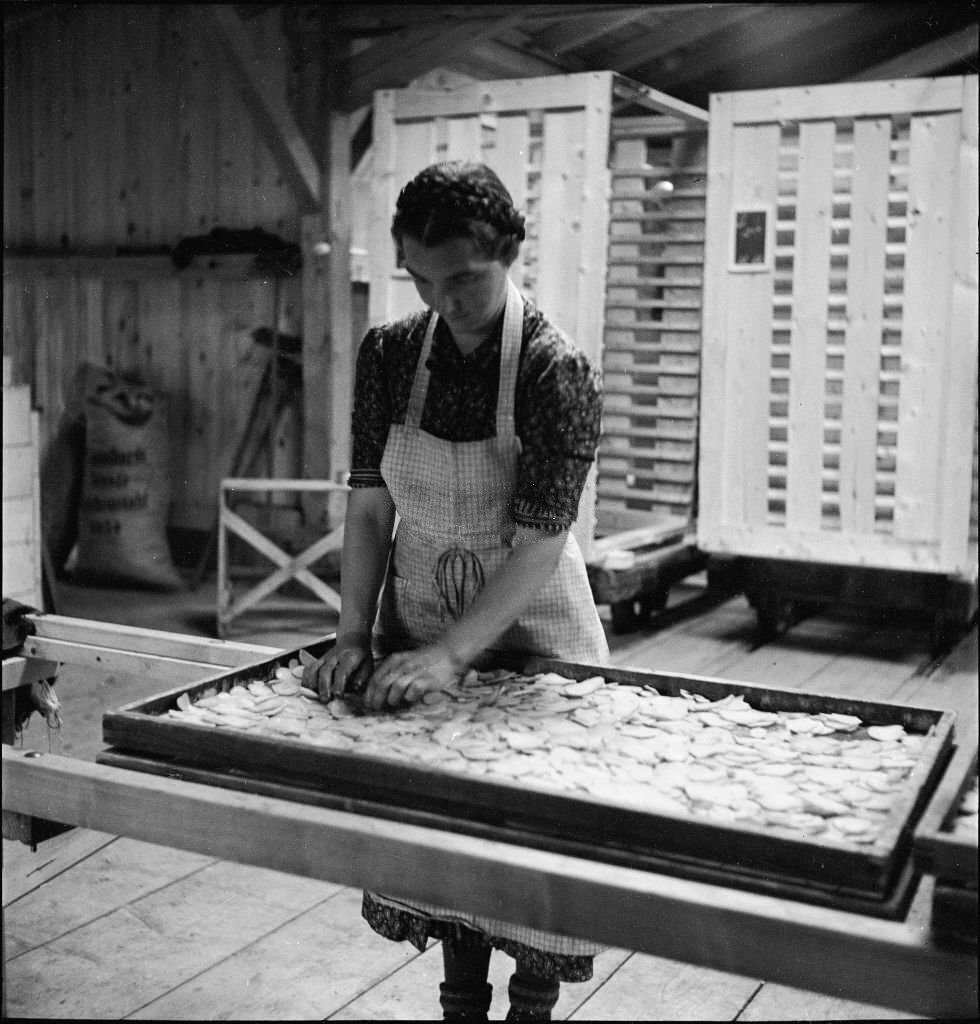 #44 Processing of potatoes in pasta factory, 1941