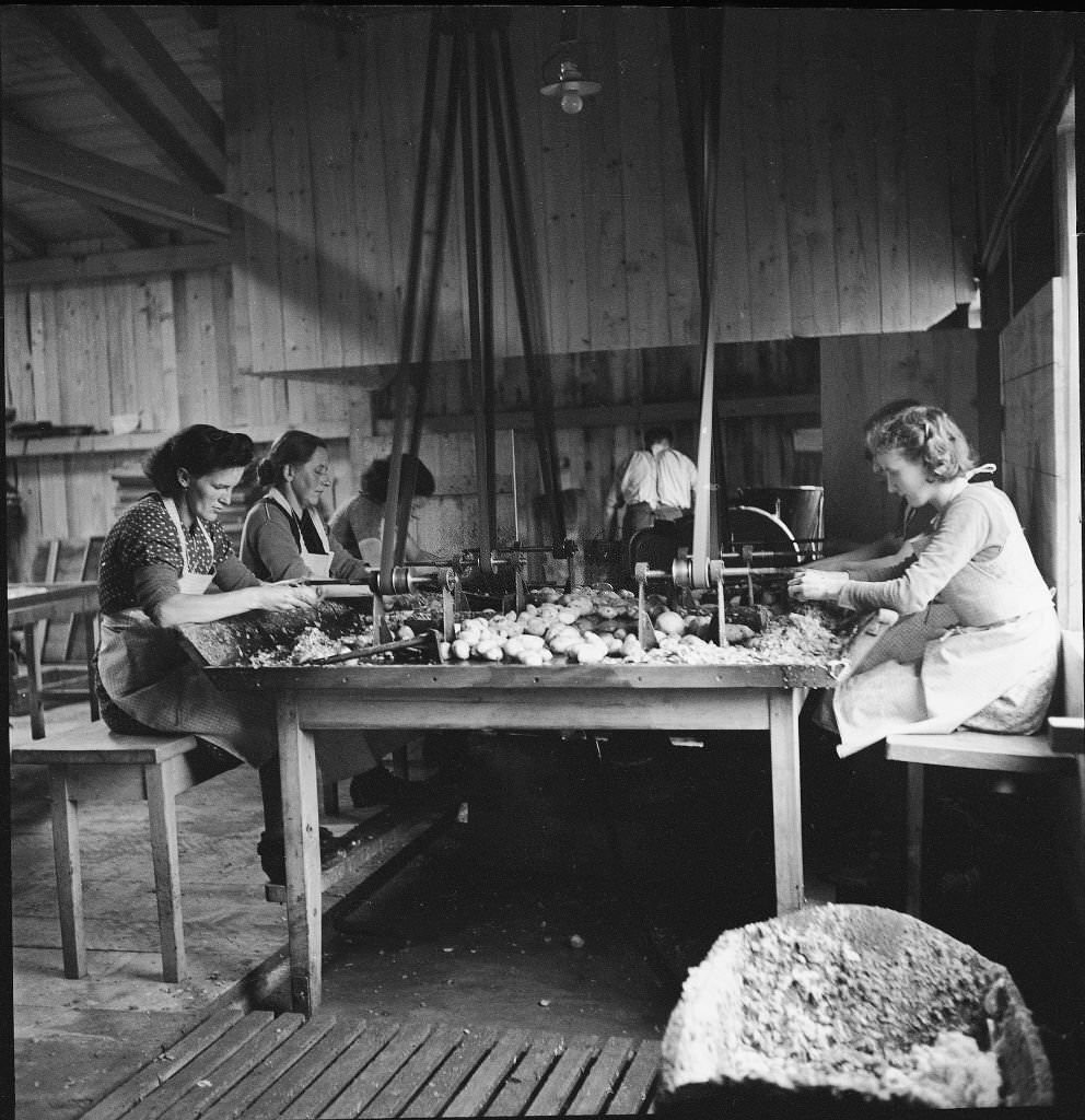 #45 Processing potatoes in a pasta factory, 1941