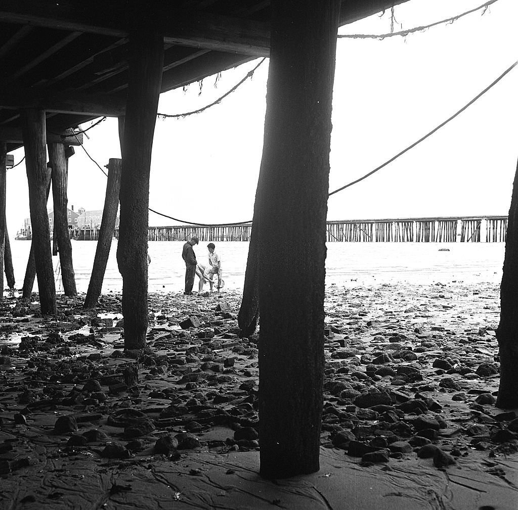 #131 View, from beneath the pier, of three boys combing the beach, Provincetown, Massachusetts, 1948.