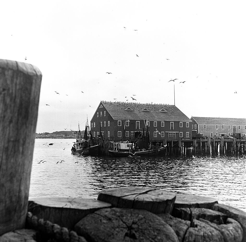 #150 View of buildings along the pier, Provincetown, Massachusetts, 1948.
