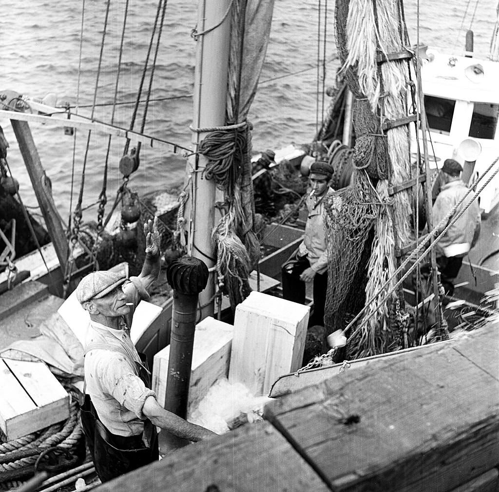 #153 View of fishermen at the docks, Provincetown, Massachusetts, 1948.