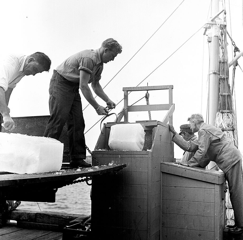 #155 View of fishermen at the docks, Provincetown, Massachusetts, 1948.