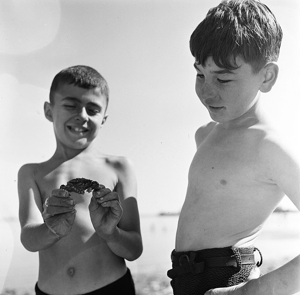 #26 Boys examine a crab on the beach on Cape Cod, Provincetown, Massachussetts, 1947.