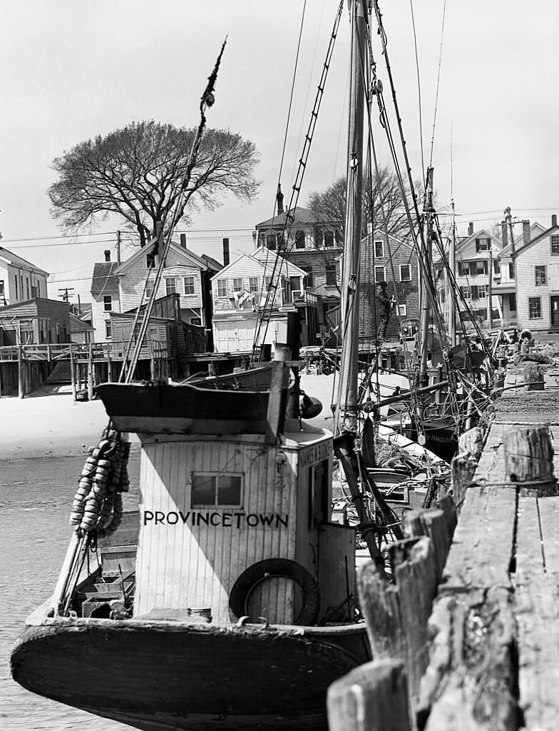 #36 Portuguese fishing boats beached for repairs. Provincetown, Massachusetts, Spring 1942.