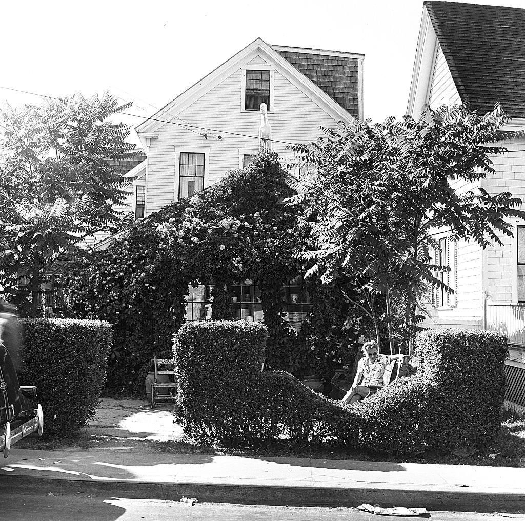 #59 A visitor relaxes outside on the grounds of an antique shop, Provincetown, Massachusetts, 1948.