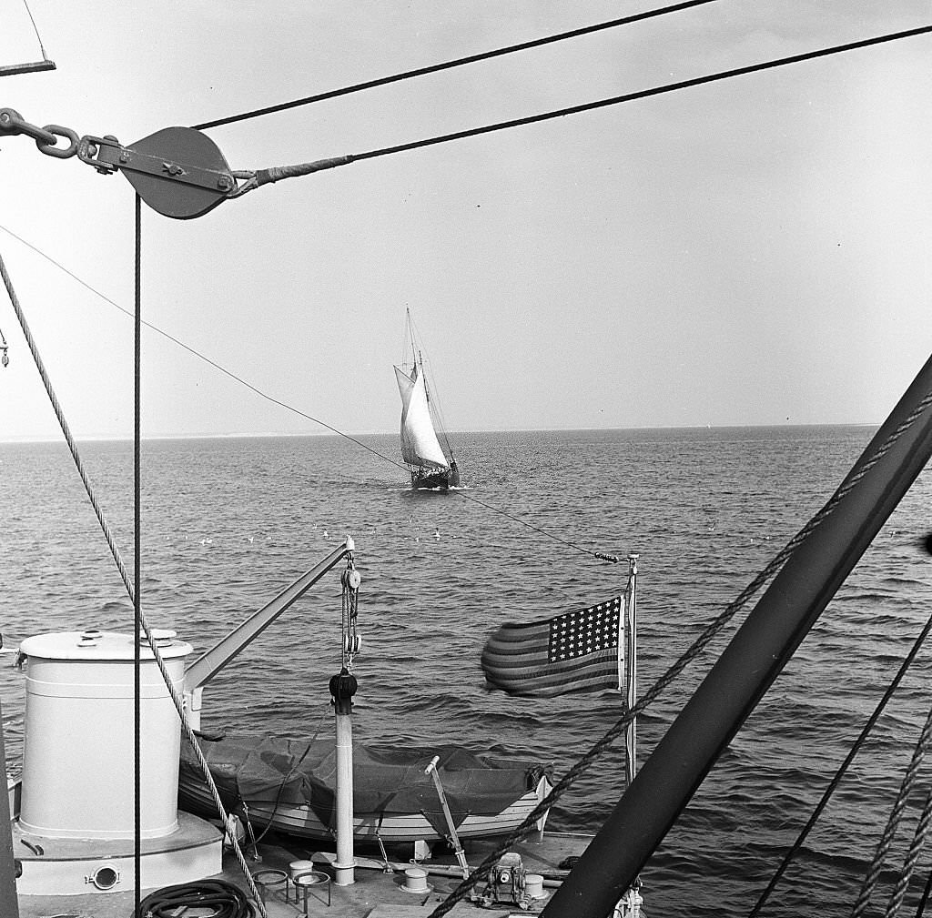 #65 View of sailboats along the piers, Provincetown, Massachusetts, 1948.