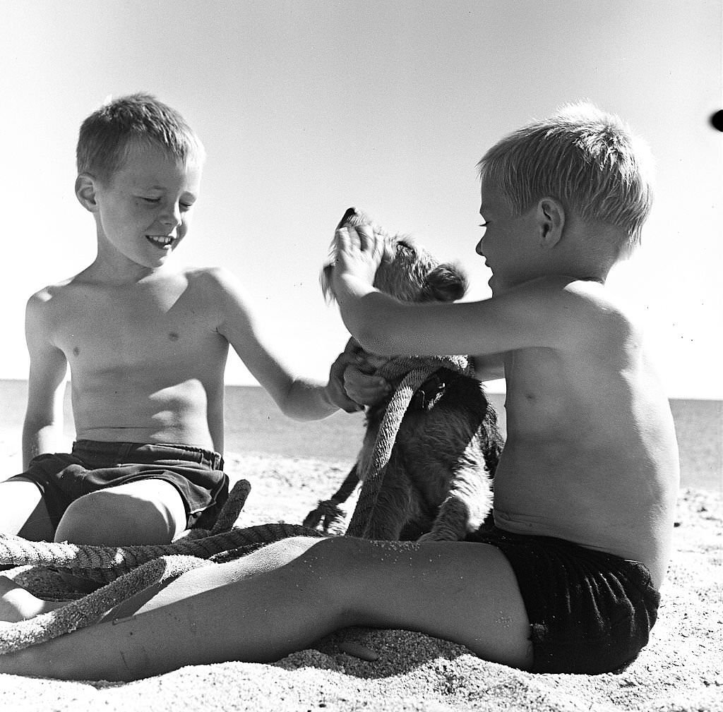 #74 Two boys play with their dog on the beach on Cape Cod, Provincetown, Massachussetts, 1947.