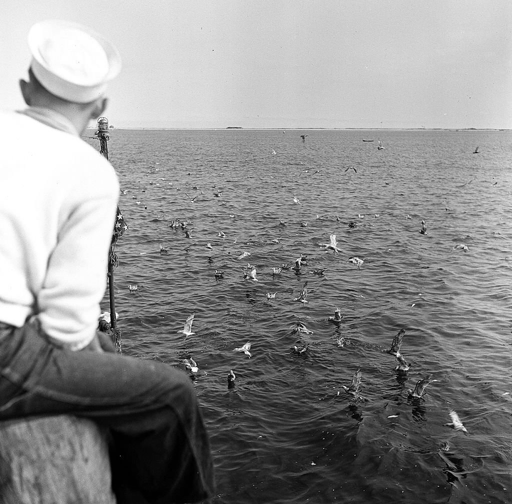 #78 A man wearing a sailor’s hat and denim jeans looks out onto the ocean, with a large group of seagulls on the water on Cape Cod, Provincetown, Massachussetts, 1947.